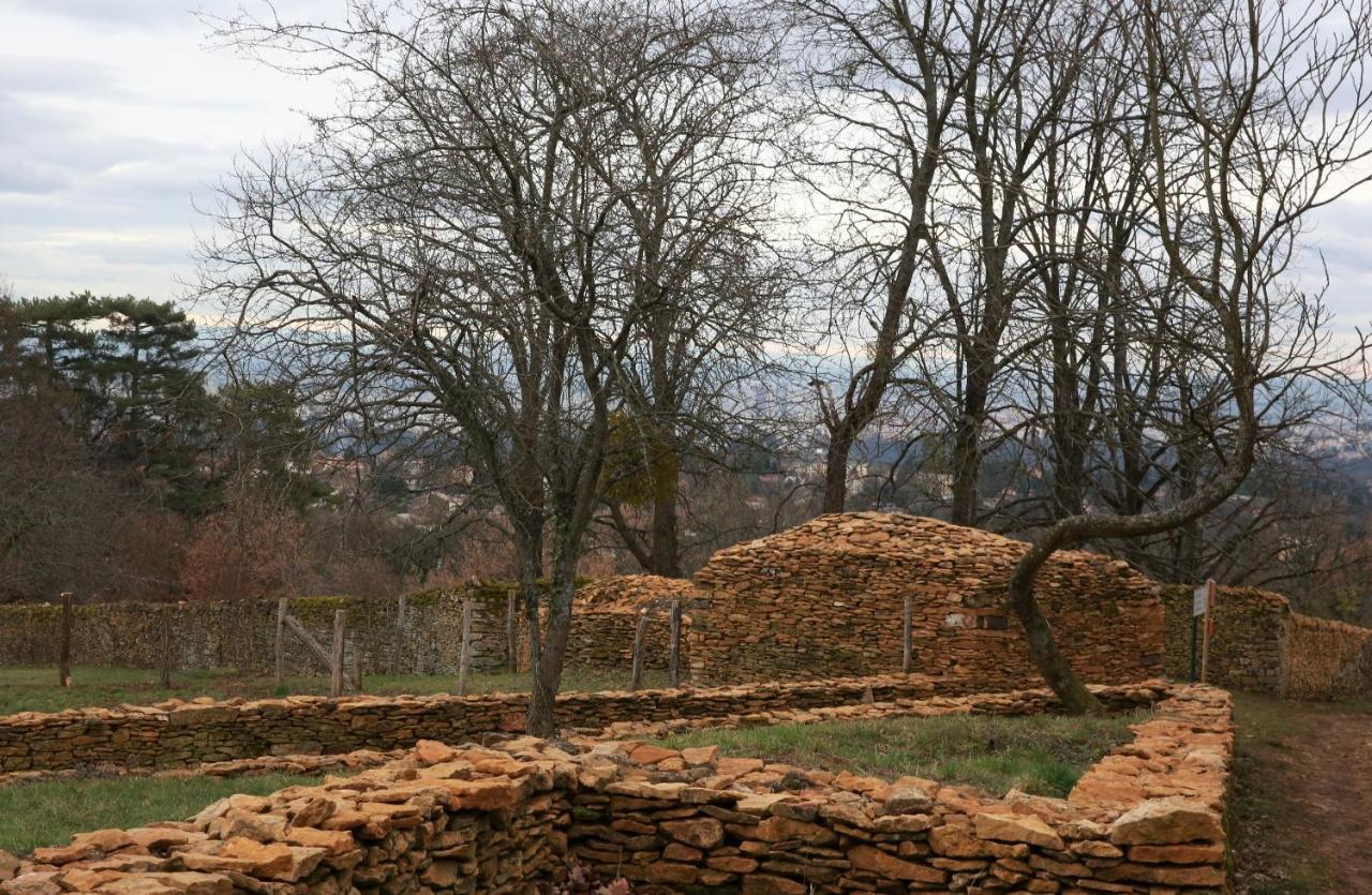 Maison Cube Saint-Didier-au-Mont-d'Or ภายนอก รูปภาพ